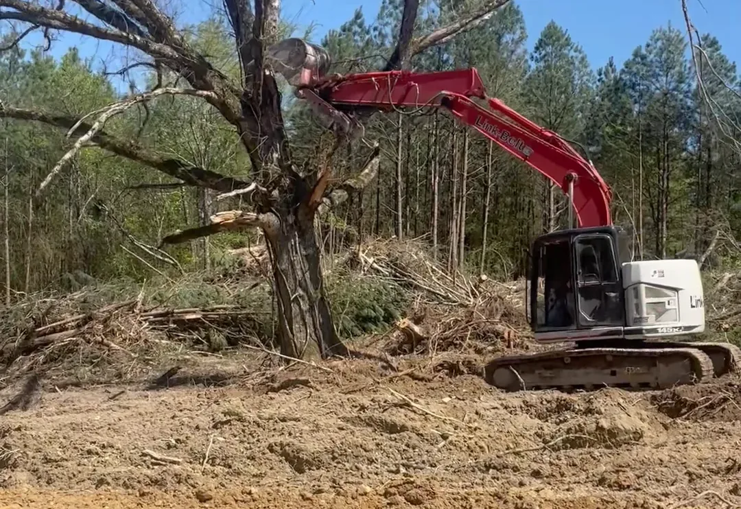 Stump Removal in Hot Springs, AR